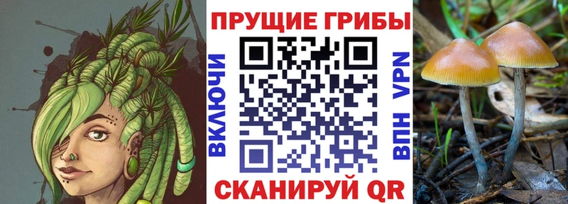 OMG как войти  Павловский Посад  Галлюциногенные грибы мухоморы 